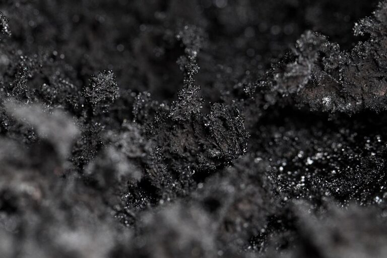 Foto: PublicDomainPictures via Pixabay
